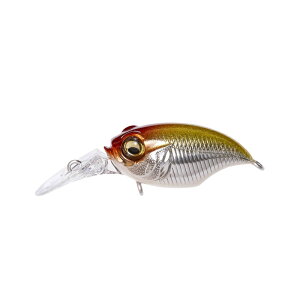 KoX@OtHxCgtBlX MR-X #MEGX^NEII