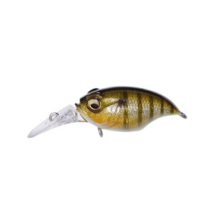 ���K�o�X�@�O���t�H���x�C�g�t�B�l�X MR-X #GLX�M�����N�V�[�M��