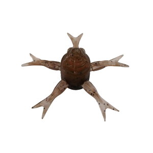 WbJ@W~[wW42 KTKTeiKGr