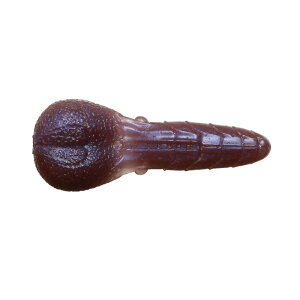 ꐽ@AKp` 2.4C` #46 AJ}cSPy݌Ɍz