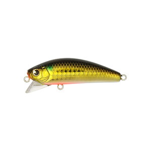 W@EFCL[u[60 #071 {(Y)