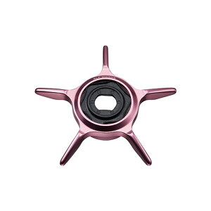 _C@STEEZ SCL X^[hO sN