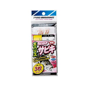 lc@ASA042-6 nX sNTrL(3g) 6