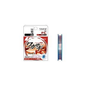 CVXe@L2104F JTM }[N1 FC 60m 0.4