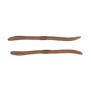 WbJ@tbNVFCN 4.8C` 2g[ m[l[Vv(JRIJ)