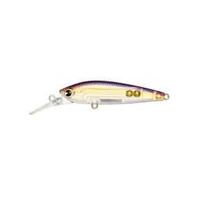 �A���Y�f�U�C���@�A�^��70S #AT70-010 �N���A�A���o�[
