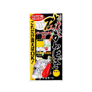 ܂@41-006 JnMp[tFNgd|2 6-3