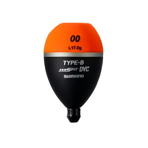 V}m@PG-48BY [sbg DVC TYPE-B L 00 IW