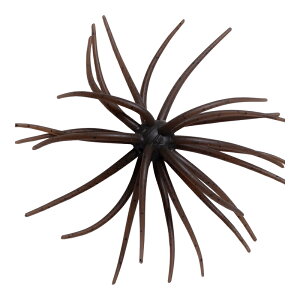 nChAbv@RCP \tg}eA #103 O[pvL