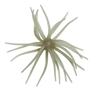 ハイドアップ 旧コイケ ソフトマテリアル #267 クリアーワカサギ