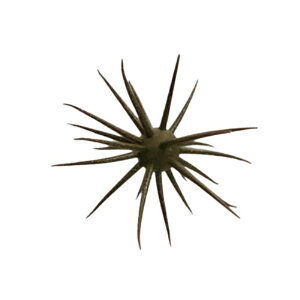 ハイドアップ 旧コイケ ソフトマテリアル #TS-01 グリパン/ゴールドブルーF