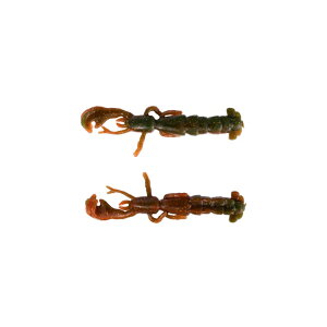 o[NC@G2SSN2.5-C KvISW\eB[jbp[ 2.5C` J