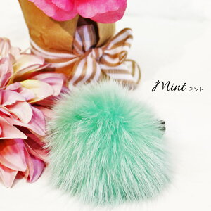 �y1000�~�|�b�L�����z�t�H�b�N�X�t�@�[�V���V�� �A�N�Z�T���[ ���f�B�[�X �H�~ �~���A���f�j