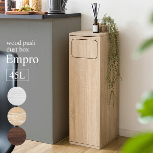 45bg vbV_Xg{bNX 25 s30 80cm Empro Gv[ uE/zCg/i`