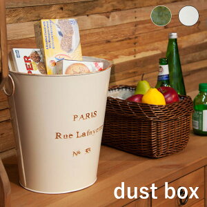 PARIS DUST BOX a25cm 29cm X`[ O[/AC{[