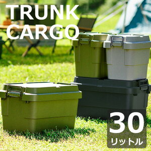 �g�����N�J�[�S �[�^ 30���b�g�� ��40 ���s39 ����35.7cm �e�[�u�� �� �X�c�[�� �֎q ���� �`�F�A �X�^�b�L���O �ȃX�y�[�X �R���p�N�g �L�����v �\���L���� �A�E�g�h�A ���[�� �J�[�L �O���[ �u