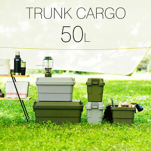 { ω׏d100kg gNJ[S 50bg 60 s39 37cm |vs J[L/O[