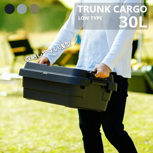 �g�����N�J�[�S ��^ 30���b�g�� ��60 ���s39 ����24cm �e�[�u�� �� �X�c�[�� �֎q ���� �`�F�A �g���[�^ �X�^�b�L���O �ȃX�y�[�X �R���p�N�g �L�����v �\���L���� �A�E�g�h�A ���[�� �J�[�L �O