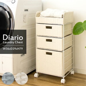 LX^[th[{bNX 36 s29 79cm lH^ Diario fBAI AC{[/u[