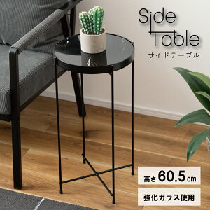 EhTChe[u 32.5cm 5mmKX/X`[ J PT-561 ΖڒubN