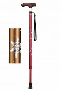 Lk ~L Ε  ₷ LEPC  IV S  킢 ֗