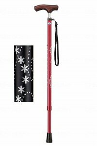 Lk ~L Ε  ₷ LEPC  IV S  킢 ֗