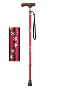 Lk ~L Ε  ₷ LEPC  IV S  킢 ֗