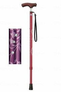 Lk ~L Ε  ₷ LEPC  IV S  킢 ֗