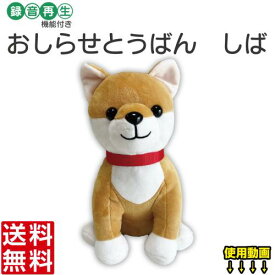 録音・再生機能付きぬいぐるみ 時間だよ！ おしらせとうばん (しば) プレゼント 敬老の日 父の日 母の日