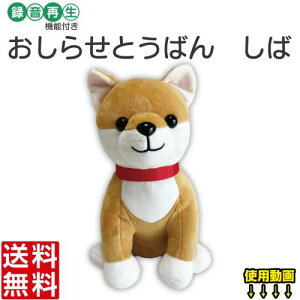 ^EĐ@\tʂ ԂI 点Ƃ΂ () v[g hV̓ ̓ ̓