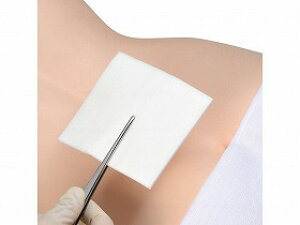 �A���P�A �n���p�z���p�b�h �K�[�[ �p�b�h �J�n�p �f���}�G�C�h�i100�����j 8�� �n���p�z���p�b�h �K�[�[ �p�b�h �J�n�p ���� ���� �P�K ���� �s�D�z �ŋ� �n��