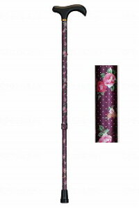  쏤X Lk A~ ԕ ؐObv ₷ 15܂ł̂őo(xƓ) A~ԕLk  i IV ֗  NN S