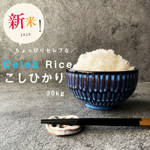 【Wクーポンで9,480円!】【2年産】ちょっぴりセレブなコシヒカリ 玄米30kg精米27kg コシヒカリ【米30kg 送料無料】【お米 30kg 送料無料】米/お米/コメ【こしひかり】【国産】【米 30kg 送料無料】