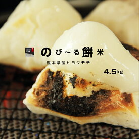 楽天市場 もち米 送料無料の通販 楽天市場 もち米 送料無料の通販