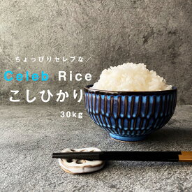 楽天市場 米 30kg 送料無料の通販