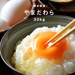 楽天市場 お米 玄米 30kg こめたつ