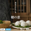 【枚数限定！500円OFFクーポン配布中！】楽天限定 米 10kg 令和7年産米使用 農家まかない米 穂の恵 米 10kg 米 5kg 送…