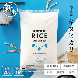 新米 米 白米 玄米 20kg 送料無料 キヌヒカリ 熊本県産 令和7年産 米20kg 送料無料 お米 20kg 送料無料 コメ きぬひかり 米 20kg 送料無料 備蓄用 非常用 精米後18kg 玄米20kg