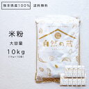 米粉 10kg (1kg×10袋) 夢大地 米の粉 1kg お米 送料無料！業務用