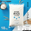 【精米日訳ありSALE中！】新米 米 10kg 送料無料 コシヒカリ 熊本県産 令和6年産 こしひかり 米 10kg 送料無料 白米 …