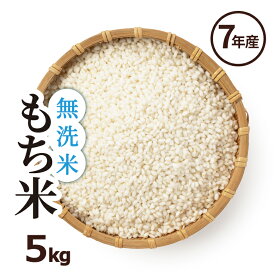 もち米 無洗米 白米 5kg 送料無料 ヒヨクモチ 無洗米 熊本県産 令和7年産 米5kg 送料無料 モチ米 5kg 送料無料 コメ ひよくもち もち米 5kg 餅米 送料無料 こめたつ