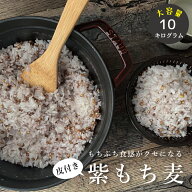 皮付き もち麦 10kg 国産 大容量【2.5kg×4袋セット】 もち麦 皮つき【もち麦 国産 送料無料】送料無料 …