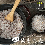 皮付き もち麦 5kg 国産 たっぷり【2.5kg×2袋セット】 もち麦 皮つき【もち麦 国産 送料無料】送料無料 …