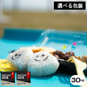 【エントリーでポイント最大10倍&Wクーポンで8,880円】【元年産】佐賀県産 さがびより 玄米30kg精米27kg /【米30kg 送料無料】【お米 30kg 送料無料】米/お米/コメ 【米 30kg 送料無料】【1年 令和】 1年 こめたつ