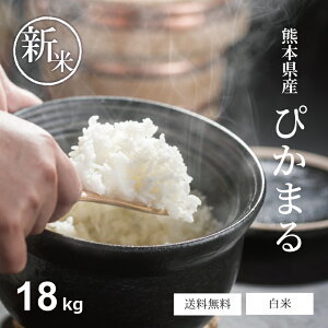 V   18kg  ҂܂ F{Y ߘa7NY 18L  18kg   18kg   18kg ߂ ~p p 18L