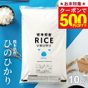 【お米特集！500円OFFクーポン配布中！7/26(日)01:59まで】米 10kg 令和7年 熊本県産 ヒノヒカリ ひのひかり 米 10kg …