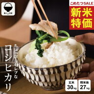 【8年産新米大特価！！】 米 30kg 令和8年産 ちょっぴりセレブなコシヒカリ コシヒカリ 30kg 送料無料 米…