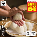【 楽天スーパーSALE！特別価格16,980円！ 】 米 30kg 令和7年 ちょっぴりセレブなコシヒカリ コシヒカリ 5kg 送料無…