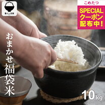 楽天市場】あさひの夢 10kgの通販