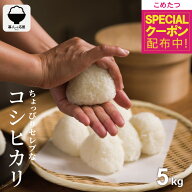 【在庫処分大特価！+先着順！100円OFFクーポン！楽天モバイル会員限定】 米 5kg 令和7年 ちょっぴりセレ…